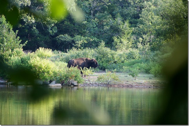 Chickasaw National Park