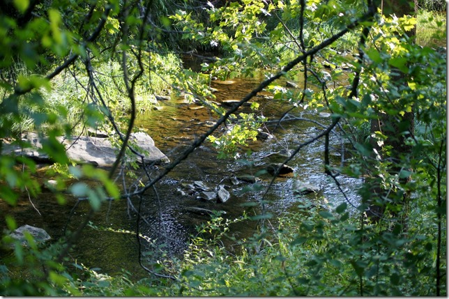 Stream running through Chicksaw National Park